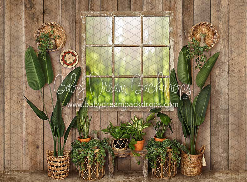 Cozy Boho Window (JA)