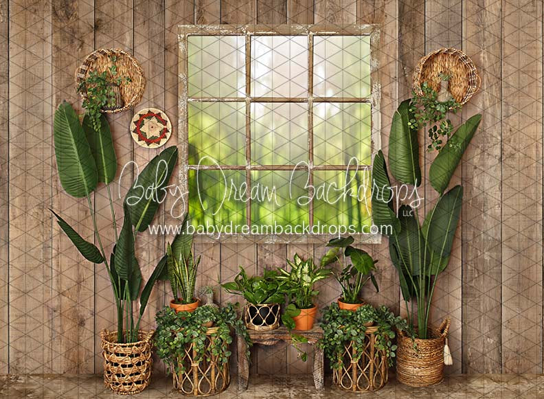 Cozy Boho Window (JA)