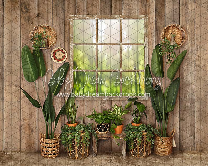 Cozy Boho Window (JA)