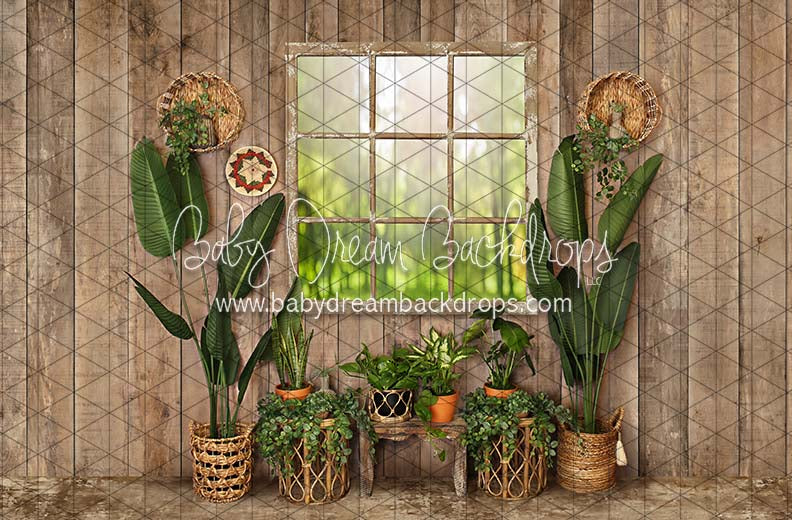 Cozy Boho Window (JA)