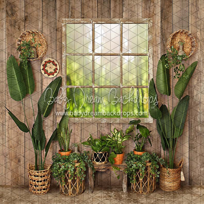 Cozy Boho Window (JA)