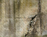 Cracked Concrete