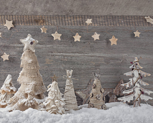 Crafty Winter - 8x10 