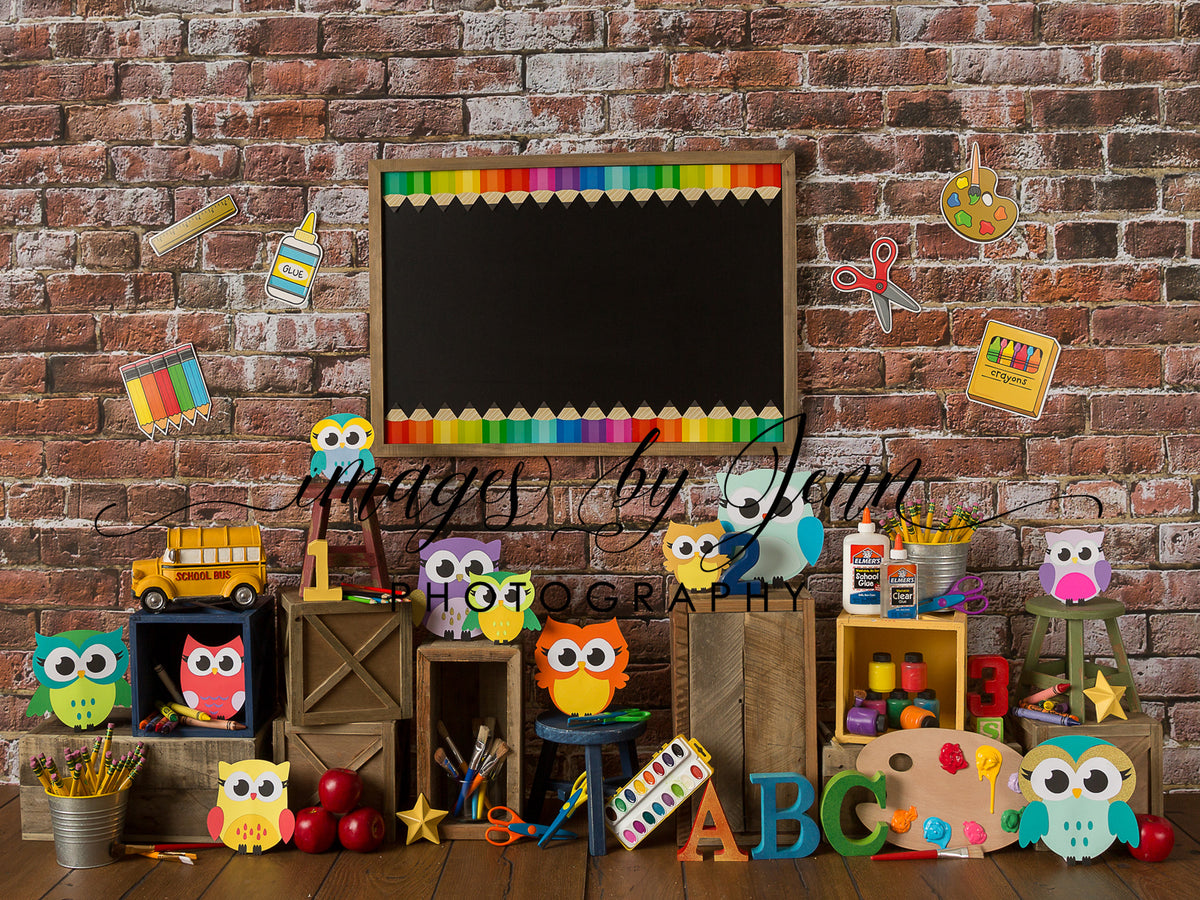 Crafty Owls — Baby Dream Backdrops
