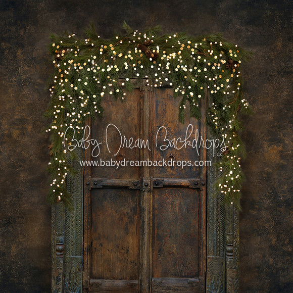 Craig Christmas Door (Lights)