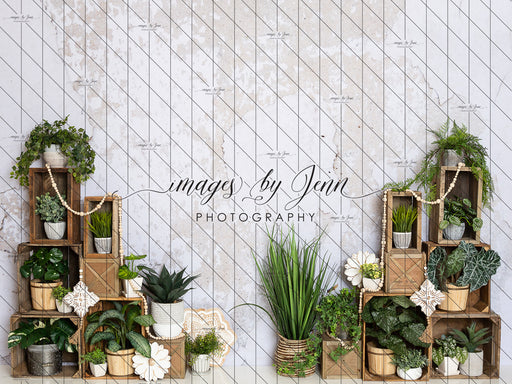 Crates Full of Greens (JG)