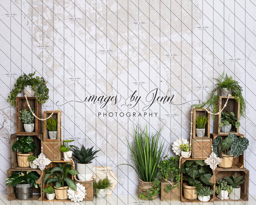 Crates Full of Greens (JG)