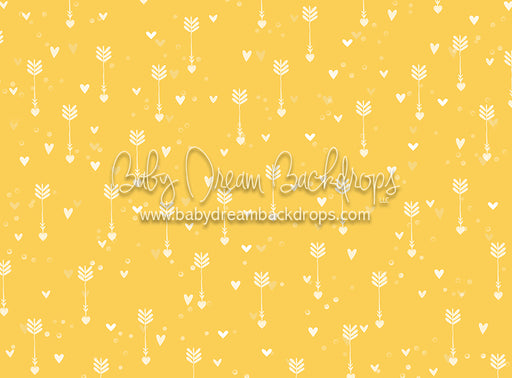 Crazy in Love - 60Hx80W - CC  