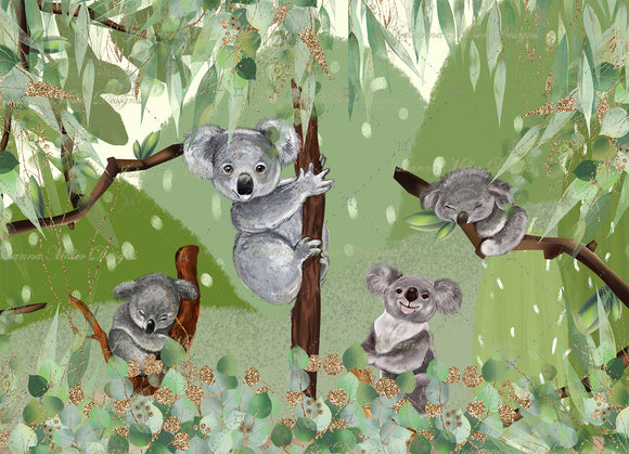 Cuddly Koalas 