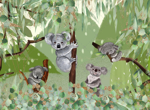 Cuddly Koalas 