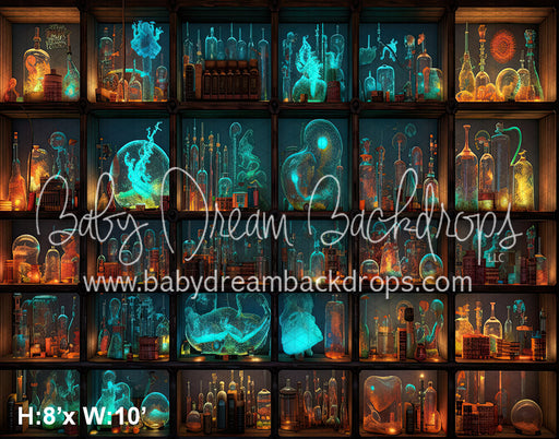 Curiosity Shelves (SM)