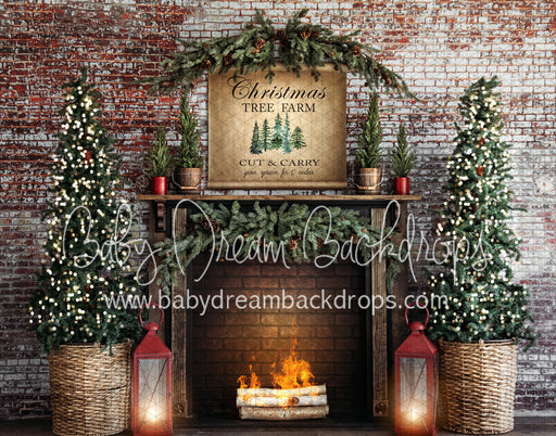 Cut and Carry Christmas trees (VR)