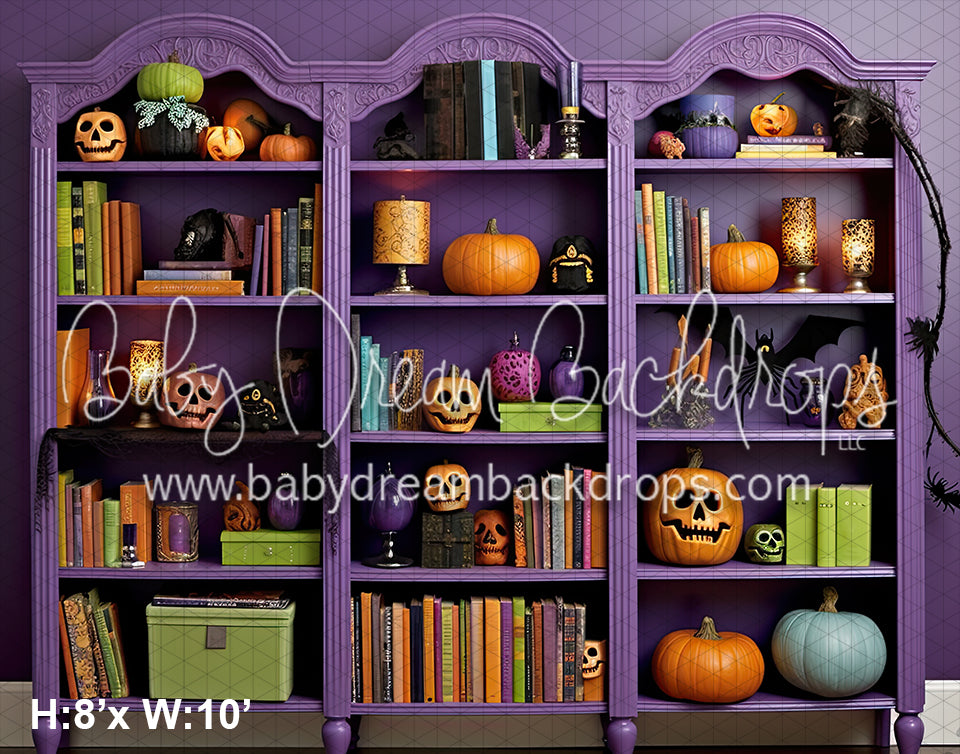 More new shelves! Displayed some of my smaller favorite Halloween