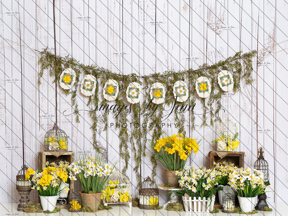 Daffodil Garden (JG)