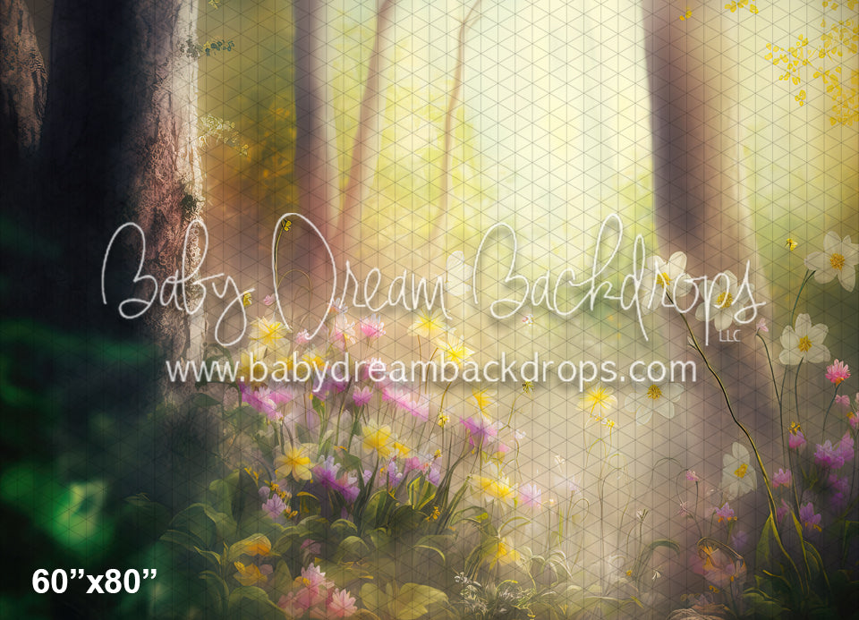 Daffodil Spring (MD)