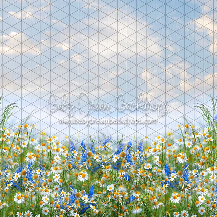 X Drop daisy delight cc