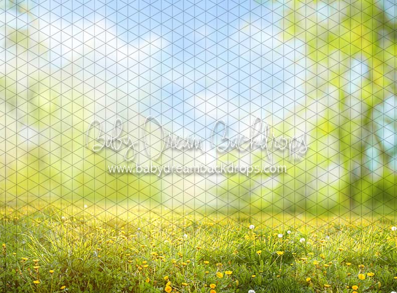 Dandelion Delight (CC)