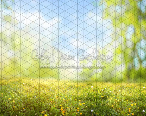 Dandelion Delight (CC)