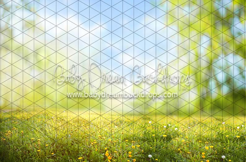 Dandelion Delight (CC)