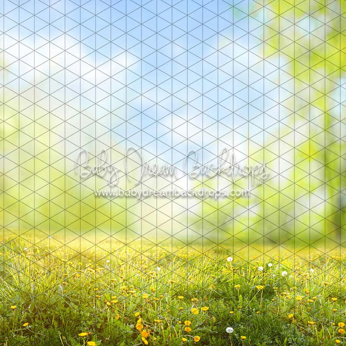 Dandelion Delight (CC)