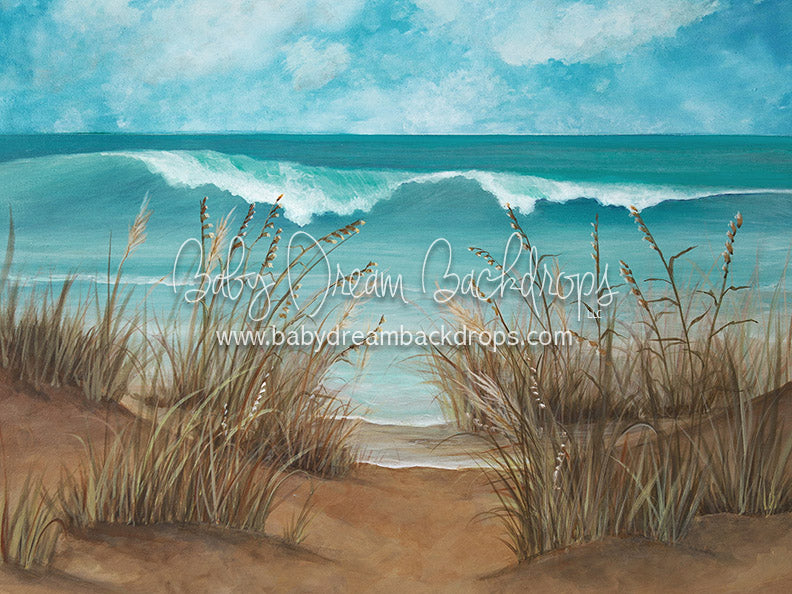 Day at the Cape - 6x8 - SS (Fleece)