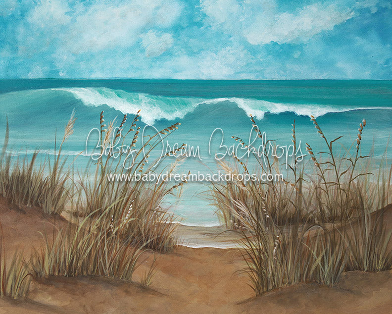 Day at the Cape - 8x10 - SS (Fleece)