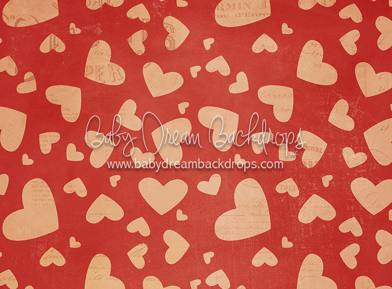 Devoted to Fun - 60Hx80W - CC (Matte Fleece)