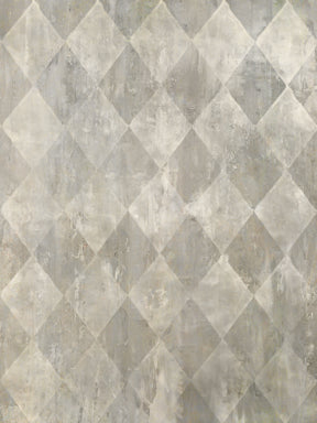 Diamond in the Rough {2} - 60x80  