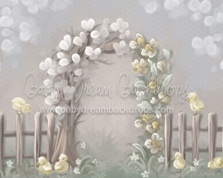 Divine Spring Chicks (BD)