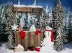 Do You Wanna Build a Snowman - 60Hx80W - JA  