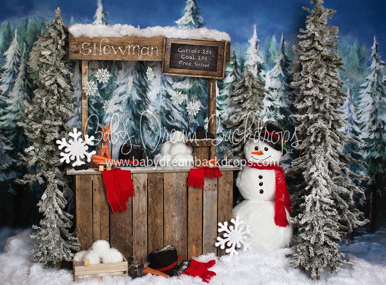 Do You Wanna Build a Snowman - 6x8 - JA  