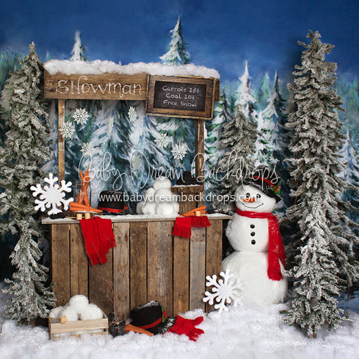 Do You Wanna Build a Snowman - 8x8 - JA