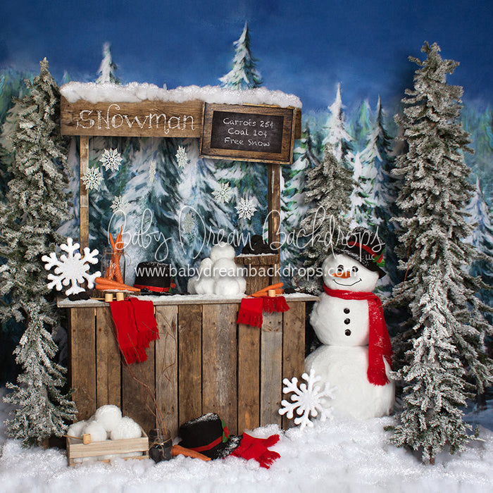 Do You Wanna Build a Snowman - 8x8 - JA