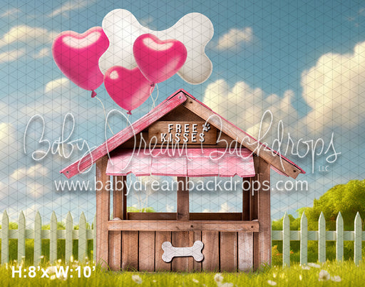 Doggie Kissing Booth (AZ)