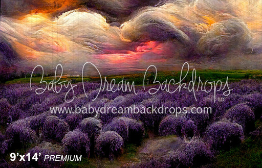 Dramatic Lavender (SM)