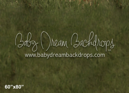  Dream Lake Fabric Floor (LG) 