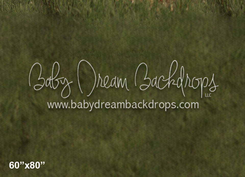  Dream Lake Fabric Floor (LG) 