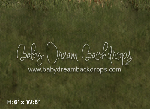  Dream Lake Fabric Floor (LG) 