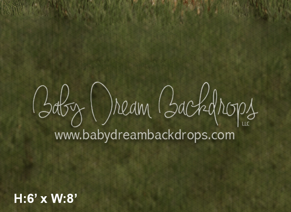  Dream Lake Fabric Floor (LG) 