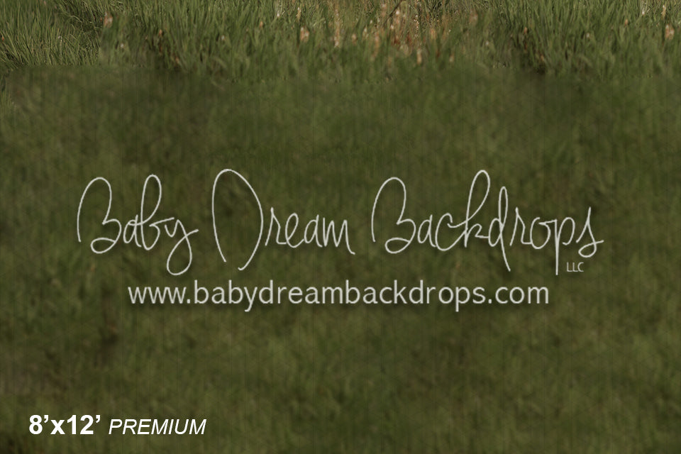  Dream Lake Fabric Floor (LG) 