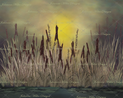 Dreaming of Fishing Sunset Dreams