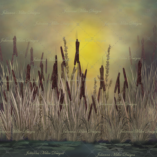 Dreaming of Fishing Sunset Dreams