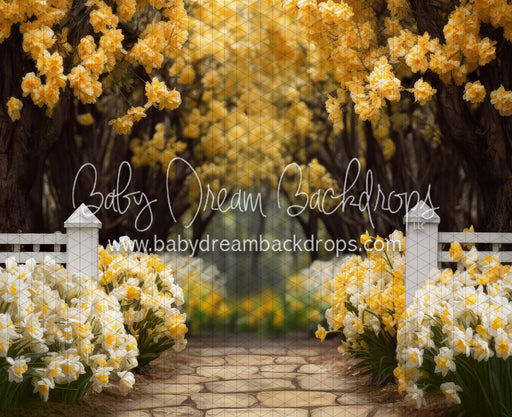 Dreamy Daffodil Stroll (JA)