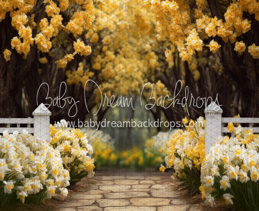 Dreamy Daffodil Stroll (JA)