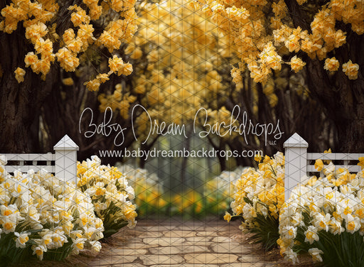 Dreamy Daffodil Stroll (JA)