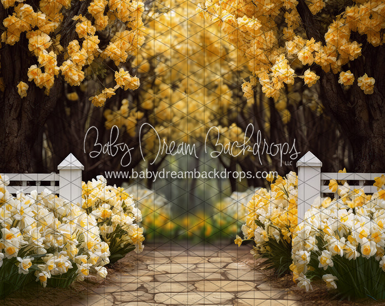 Dreamy Daffodil Stroll (JA)