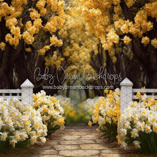 Dreamy Daffodil Stroll (JA)