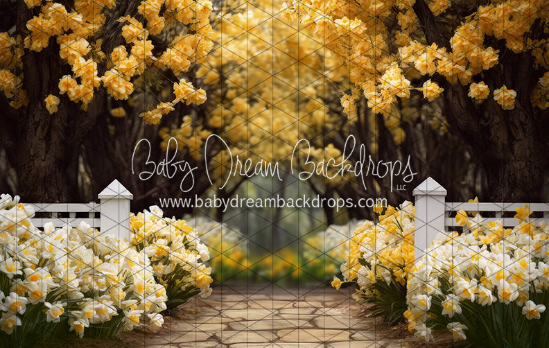 Dreamy Daffodil Stroll (JA)