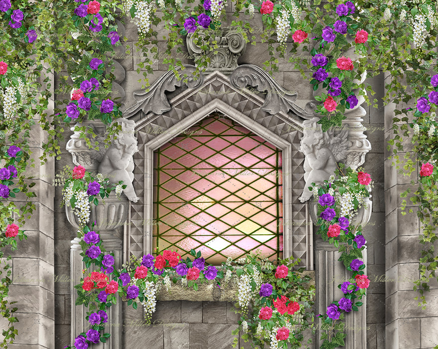 Dreamy Castle Window