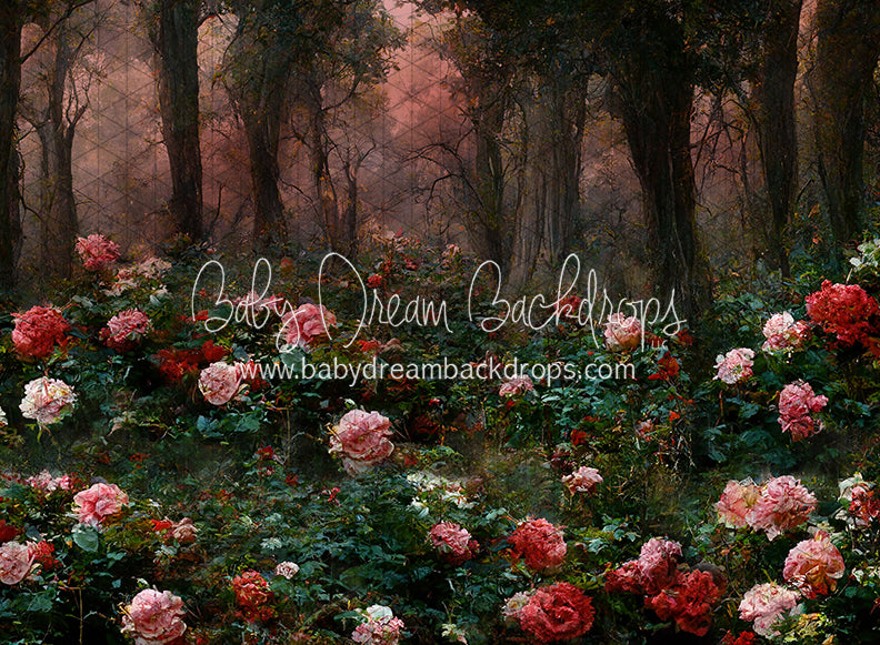 Dreamy Romance (LL)